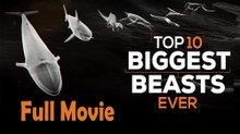 Top 10 Biggest Beasts Ever (2015) Full Movie HD