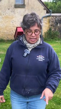 Comment cette éleveuse professionnelle protège-t-elle ses poules des renards ? 🐔Reportage complet à retrouver sur notre chaîne YouTube : CotCot Club (lien en biographie) 🧡