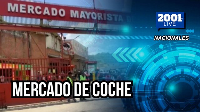 Precios de frutas y hortalizas en el Mercado de Coche: así inicia el mes de agosto