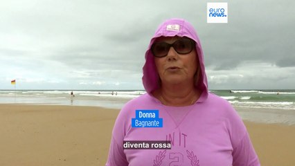 Francia: diverse spiagge chiuse per l'avvistamento di caravelle portoghesi velenose