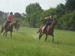 cOurse dans le champs d'en face
