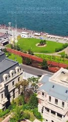 The Plant Girl's Perfect Family