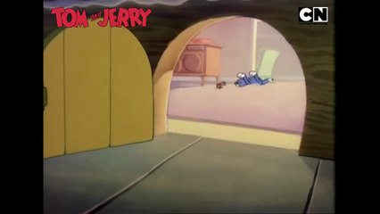 Tom & Jerry 😺🐭  World Teacher's Day   Chaos Class In Session! 😆  Cat and Mouse   @cnindia