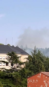 Los Bomberos de Burgos controlan un incendio en el Castillo