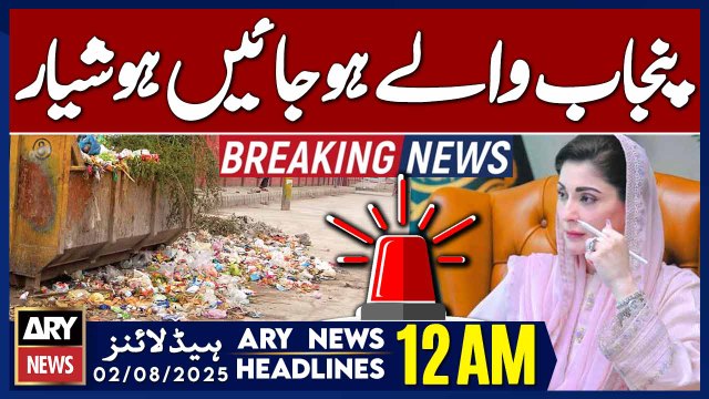 ARY News 12 AM Headlines || 2nd August 2025 - Punjab to Enforce Heavy Fines for Causing Pollution