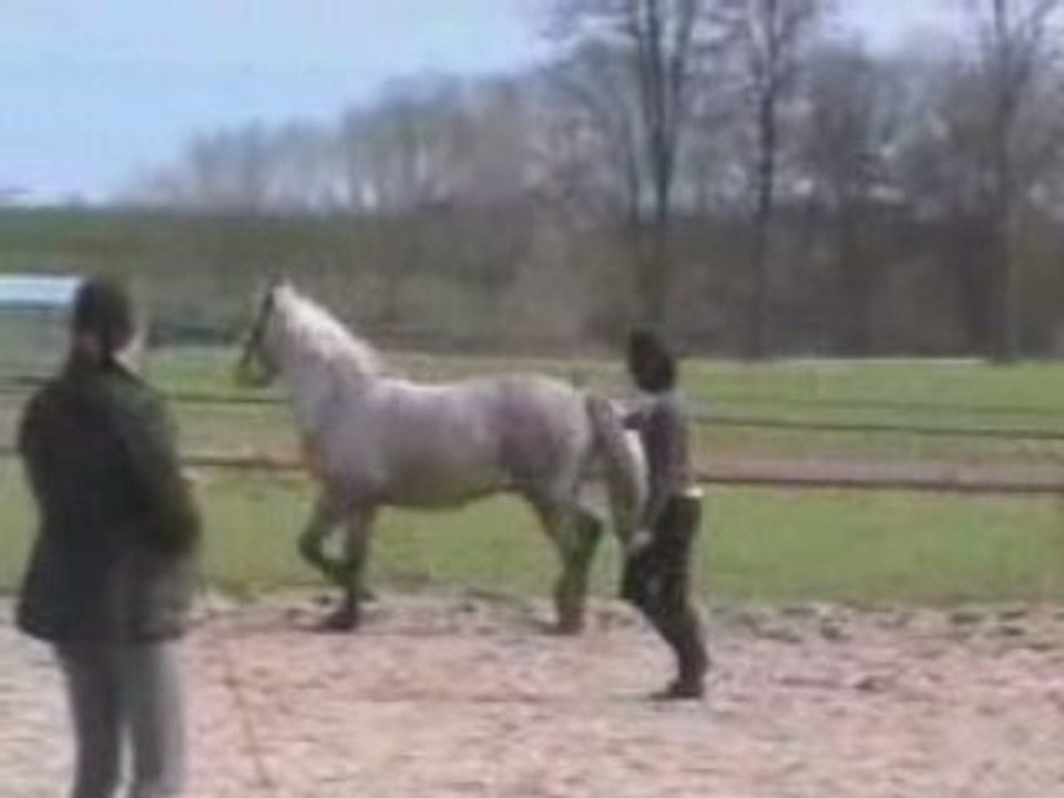 2008 04 12 Sauts en Liberté Quezac