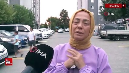 İstanbul'da kediye eziyet eden şahıs yakalandı