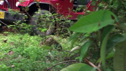 Salvador conoce a su salvador.