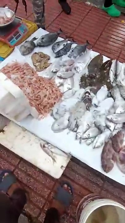Fish in Morocco In the city of Larache