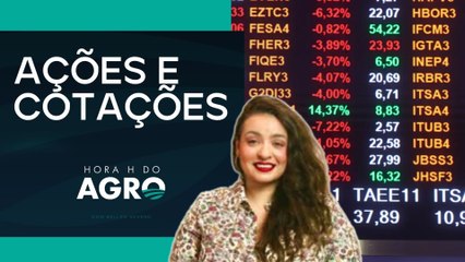 Saiba como ficam as contratações de barter com a volatilidade do câmbio  | HORA H DO AGRO