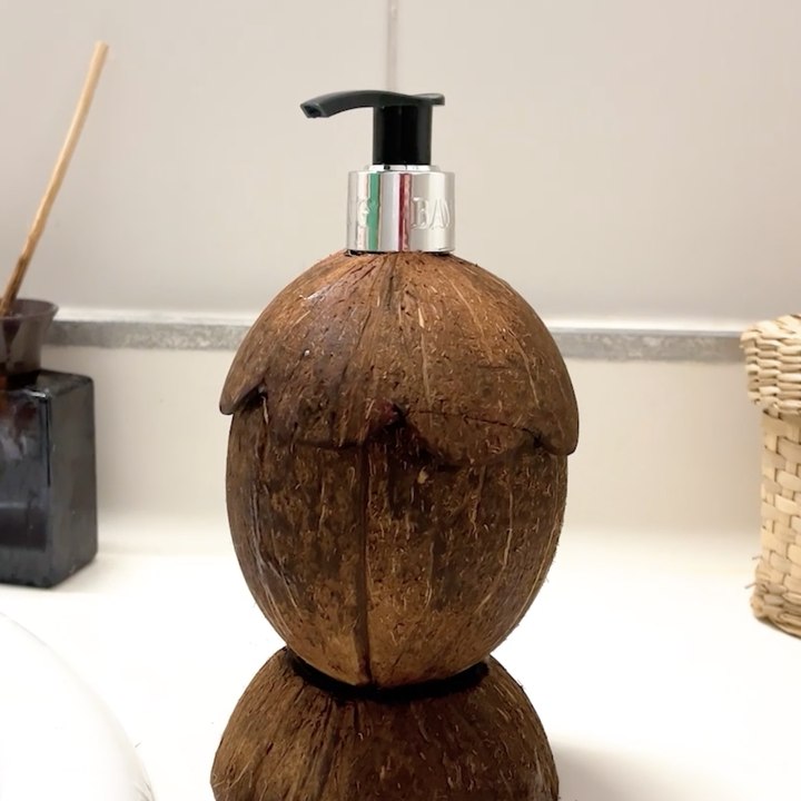 Des coquilles de noix de coco transformées en accessoires de salle de bain époustouflants ! ✨🥥