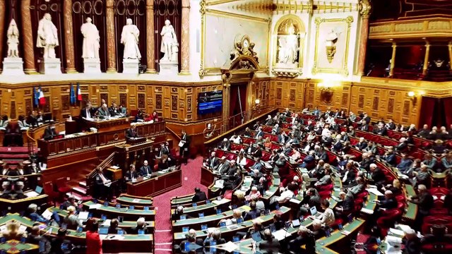 100% Sénat - Réforme de l'audiovisuel public : le Sénat adopte le texte