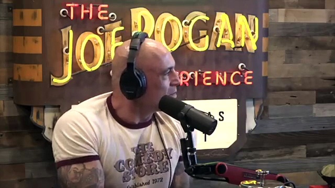 JOE ROGAN the Macron Slap