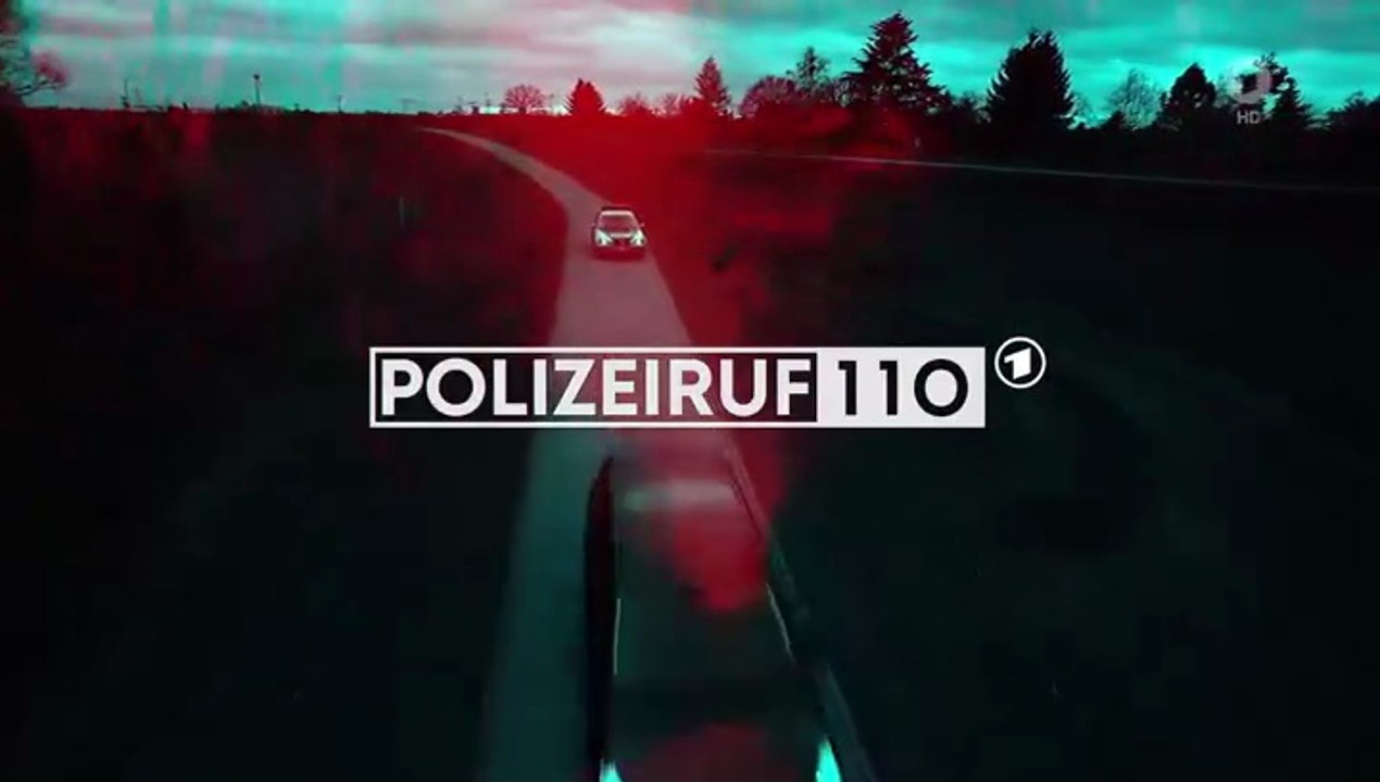 Polizeiruf 110 -394- Hermann
