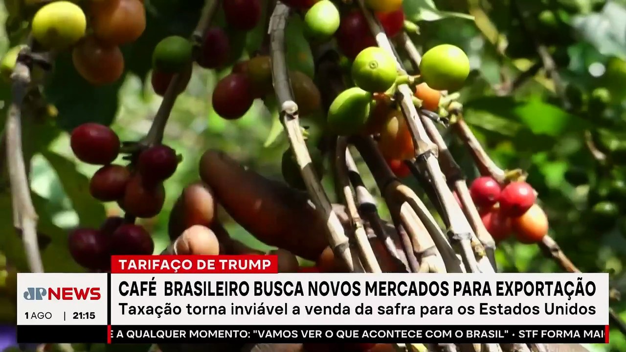 Café brasileiro busca novos mercados para exportação