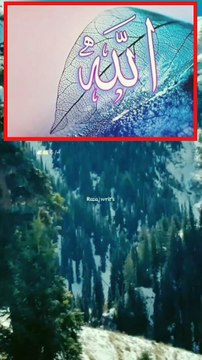 سیدنا ابوہریرہ رضی اللہ عنہ سے روایت ہے کہ رسول اللہ صلی اللہ علیہ وسلم نے فرمایا: دو کلمے ایسے ہیں جن کا کہنا زبان کے لیے بہت آسان ہے لیکن وہ میزان میں بہت بھاری ہیں اور رحمٰن کو بہت محبوب ہیں۔ اور وہ ہیں ❣️سبحان اللہ و بحمدہ، سبحان اللہ العظیم❣️ صحیح بخ