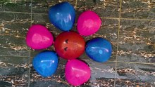 Colour water balloon Reverse #shorts #video #viral #trending #asmr #balloon #shortvideos #Balloonsasmr #satisfying #BalloonPopping