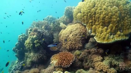 Beyond the Gates - Season 1 Episode 93