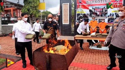 SATRES NARKOBA POLRES PASAMAN MUSNAHKAN BARANG BUKTI SEBERAT 19,6 KILOGRAM