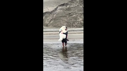 Man Lifts Dog in Arms to Cross River Safely
