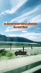 The physiological sigh brings your level stress down immediately.#motivation #BR3 #lesson #mindset #support #quotes