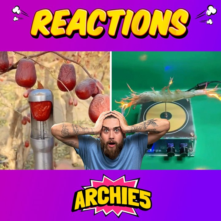 These Are the Most INSANE Jobs Around the World?!?! 😱😍 The Dudes REACT to Viral Repair and Satisfying Job Videos!