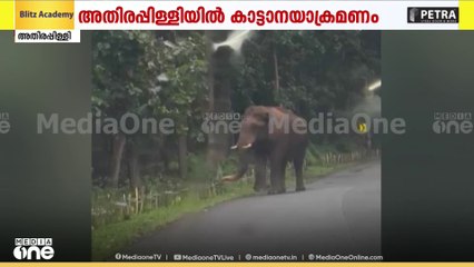 അതിരപ്പിള്ളിയിൽ കാർ ആക്രമിച്ച് കാട്ടാന | elephant attack