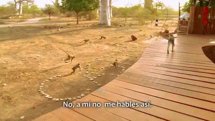 Retadores luchan para escapar del Desafío a Muerte