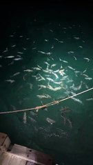 Εμπειρίες στις Μαλδίβες