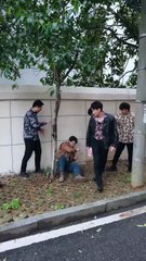 Betrayed by Blood, Forgotten by Love - CN - idrama - #abel