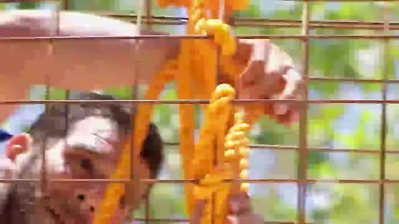 60. Un juego de estrategias deja a dos fuertes competidores eliminados