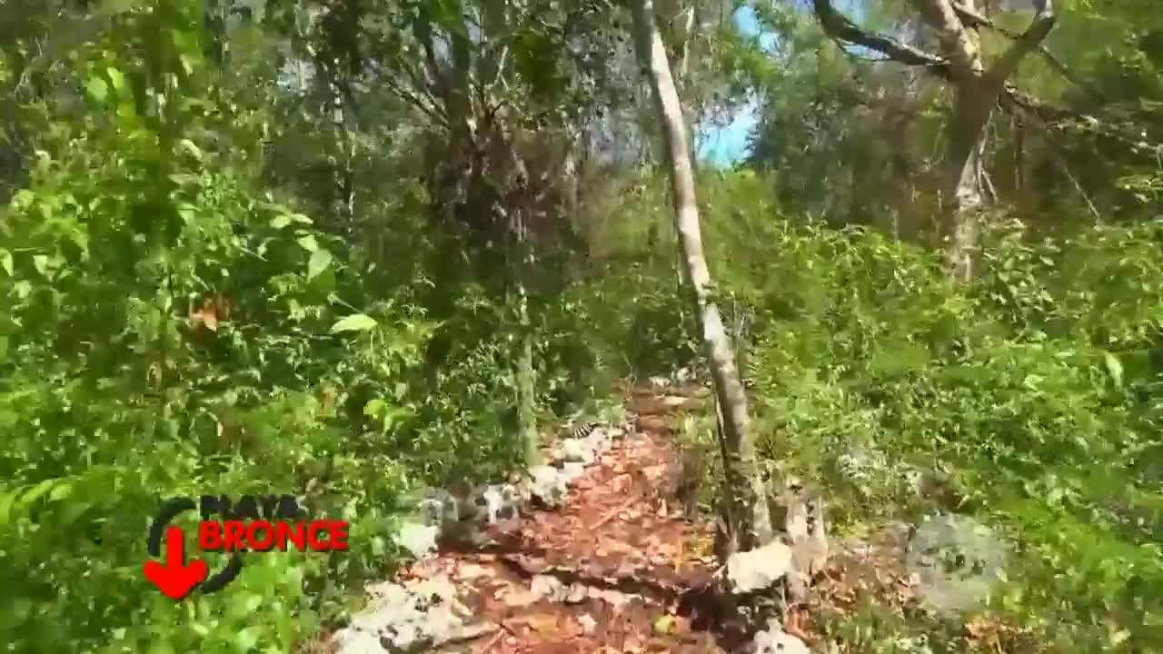 73. La unión hace la fuerza