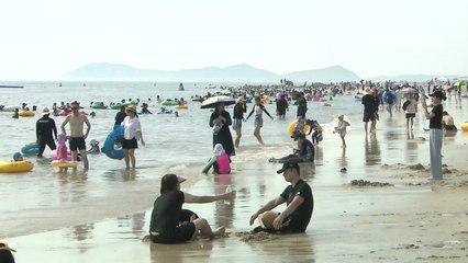 온몸에 머드 바르고...너도 나도 보령머드축제로 / YTN