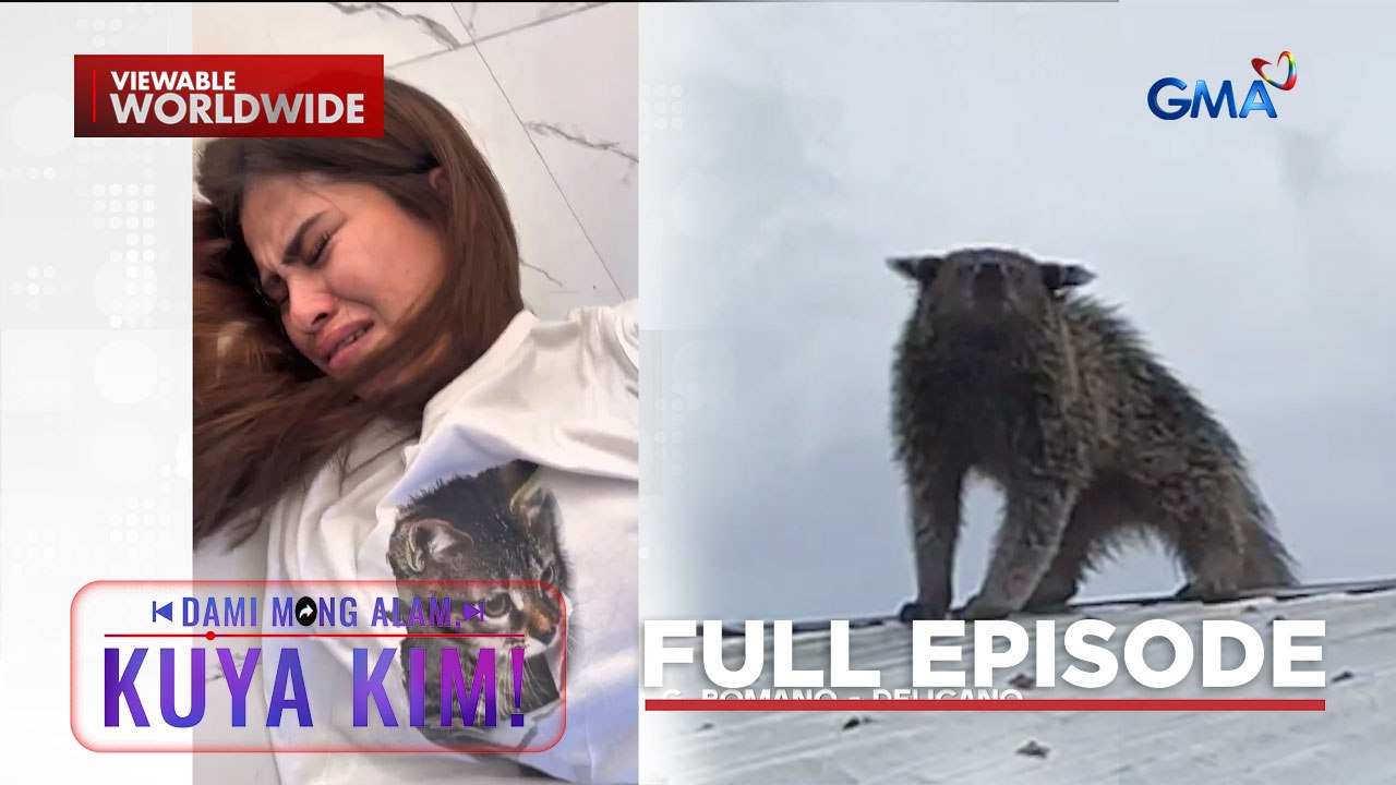 Babae, nabagok ang ulo habang gumagawa ng trend; Bearcat sa bubong?! | Dami Mong Alam, Kuya Kim!