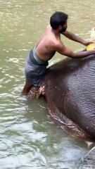 Τα ταξίδι του Κεφαλογιάννη στην Σρι Λάνκα