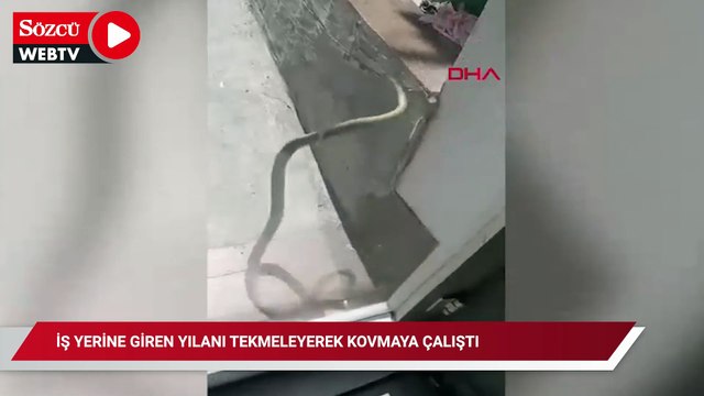 Kağıthane'de iş yerine giren yılanı tekmeleyerek kovmaya çalıştı; itfaiye yakaladı