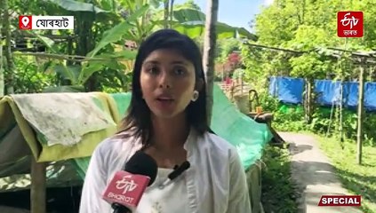 চাকৰিৰ আশা এৰি কেঁচুৰ সৈতে বন্ধুত্ব কৰি এতিয়া জীৱনৰ ছন্দ বিচাৰি পাইছে; নাম তাইৰ তৃষ্ণামণি