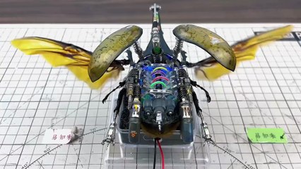 The Hercules beetle was resurrected after a long series of modifications.