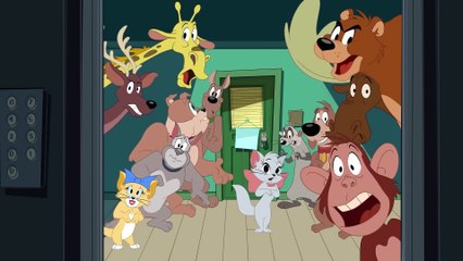 The Cat _ Mouse Detectives! 🔎 _ Tom _ Jerry _ @wbkids