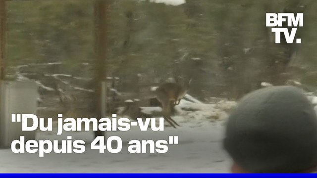 Australie: les plus importantes chutes de neige depuis 40 ans dans l'est du pays