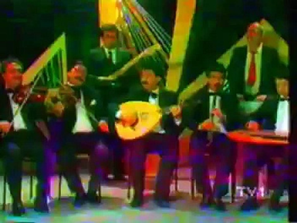 Ayşe Mine Sevdadır Şu Kalbe Dolan