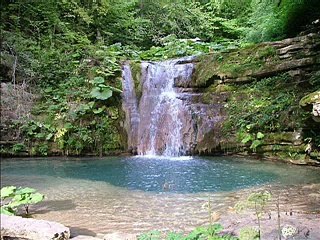 Ayşe Tunalı - Rüyalarım Olmasa