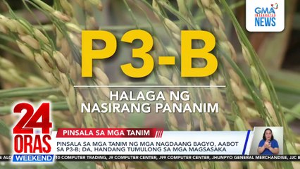 Pinsala sa mga tanim ng mga nagdaang bagyo, aabot sa P3-B; DA, handang tumulong sa mga magsasaka | 24 Oras Weekend