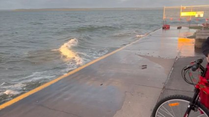 Surprise moment as rat emerges from ocean right in front of cyclists on a scenic break