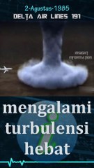 Delta Air Lines penerbangan 191
