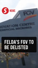 FGV delisting to begin Aug 28, says Anwar