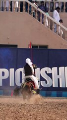 Sardar Abdul Raheem Khan Niazi | Khan of Thal | Tent Pegging Legacy 🇵🇰🔥