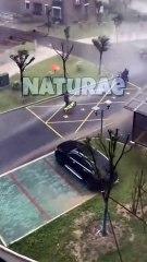 Heavy Wind storm Caught on camera Part. 2