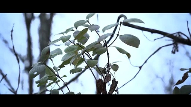 Best Action Movie Scenes of All Time” |Top Emotional Moments in Movies” |Hollywood Movie Clips You Must See” |Funniest Movie Scenes That Make You LOL” |Best Movie Kisses in Cinema History” |Unforgettable Villain Scenes in Movies” |Epic Fight Scenes from B