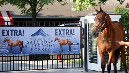 Journalism Half-Sister Takes Center Stage in Saratoga